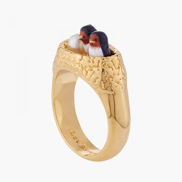 bague-nid-d-hirondelles