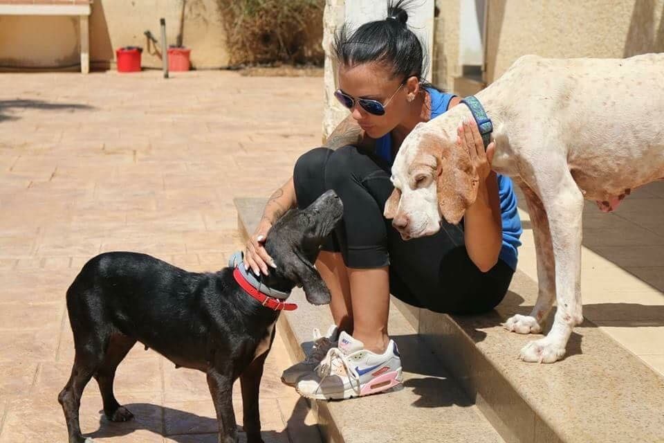 Action Cyprus Dogs Rescue > Les Néréides loves animals