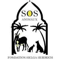 donations-helga-heidrich-sos-animaux-lesnereideslovesanimals