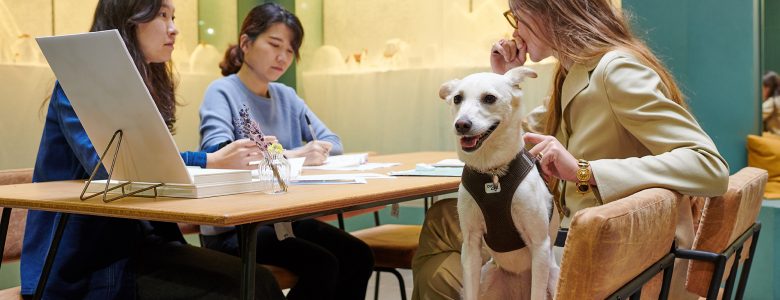 lesnereideslovesanimals-fondation-bijouxfantaisie